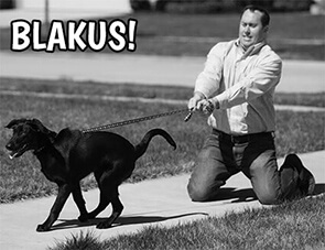 Blakus!